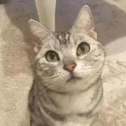 ままここ　プロフ必読の画像