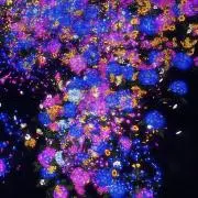 みみみ プロフィール確認お願いしますの画像