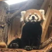 mrの画像