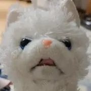 Emikkumaの画像