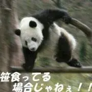 わんわんBOXマル