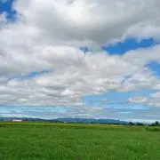Moo♪の画像