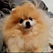 ♪里樹358♪の画像
