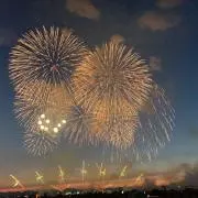 夏の白いワンコの画像
