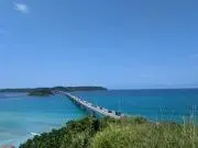 迷子です。