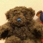 さくらんぼの画像