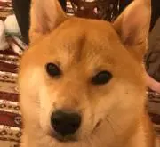 なも