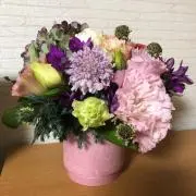 たの画像