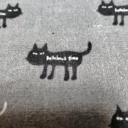 豊ちゃん
