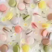 chiiia ※プロフ必読 即購入OK!の画像