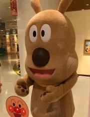 Ogaの画像