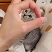 naの画像