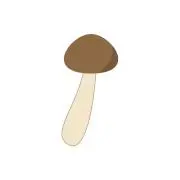 しめじの画像