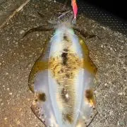味覚糖の画像