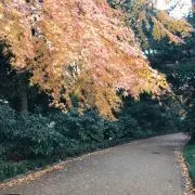 youの画像