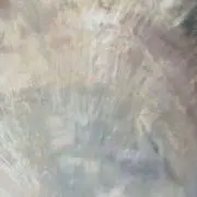 雪の画像