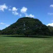 ポケティの画像