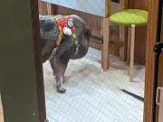TOらの画像