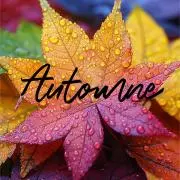 automne