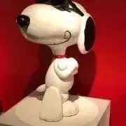 mameの画像