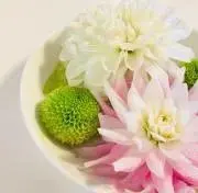 ママロンの画像