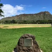 HAYの画像