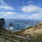 ヤンゴの画像