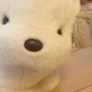 こまりの画像