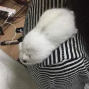 じょうの画像