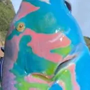 Keiの画像