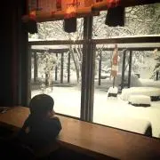 chochocho.k.yの画像
