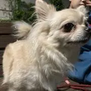 なっちゃん