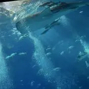 あち