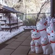 とおるの画像