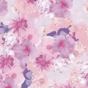 もこぷりん（購入コメント前にプロフ必読）の画像