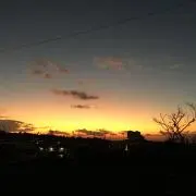 抹茶の画像