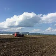 kokodenの画像