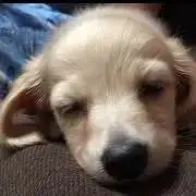 mmmの画像