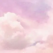 Momoの画像