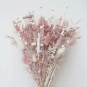 Image of はなちゃん♡24時間以内発送♡