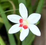 なおの画像