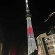 ＊サリーの画像