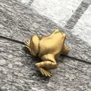 かぜさんちの画像