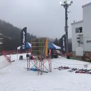 編物名人の画像