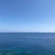 Rocoの画像