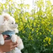 サニー（自己紹介を必ずお読みください）の画像