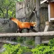 とっとの画像