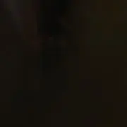 れおんの画像