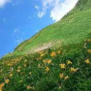 ぺくぺくの画像