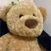 ベアの画像